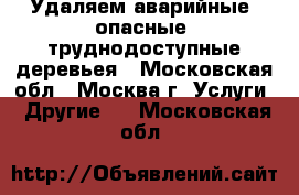 Удаляем аварийные, опасные, труднодоступные деревьея - Московская обл., Москва г. Услуги » Другие   . Московская обл.